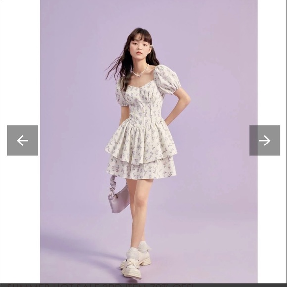 Ledin Double Layered Floral Puff Sleeve Corset Mini Dress - Picture 7 of 8